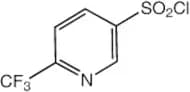 6-(Trifluoromethyl)pyridine-3-sulfonyl chloride, 97%