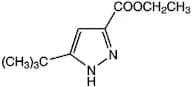 Ethyl 3-tert-butyl-1H-pyrazole-5-carboxylate, 97%