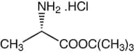 L-Alanine tert-butyl ester hydrochloride, 98%