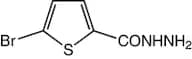 5-Bromothiophene-2-carboxylic acid hydrazide, 97%