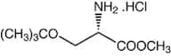 O-tert-Butyl-L-serine methyl ester hydrochloride, 98%
