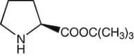 L-Proline tert-butyl ester, 98%