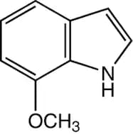 7-Methoxyindole, 97%