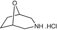 8-Oxa-3-azabicyclo[3.2.1]octane hydrochloride, 97%