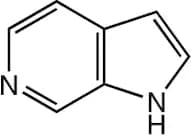 6-Azaindole, 97+%