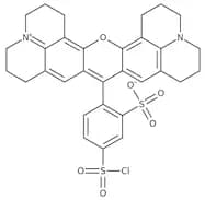 Sulforhodamine 101 acid chloride