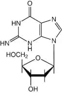 2'-Deoxyguanosine monohydrate, 98+%