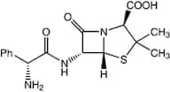 Ampicillin