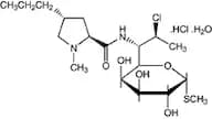 Clindamycin hydrochloride monohydrate