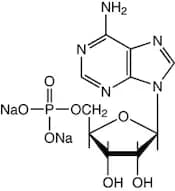 Adenosine-5'-monophosphate disodium salt