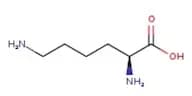 L-Lysine, 98%