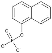 1-Naphthyl phosphate monosodium salt monohydrate, 97+%
