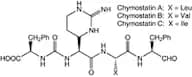 Chymostatin