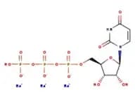 Uridine-5'-triphosphate trisodium salt, 98+%