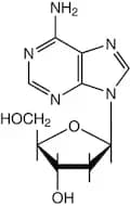 2'-Deoxyadenosine, 99%