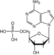 2'-Deoxyadenosine-5'-monophosphate, 98%