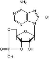 8-Bromoadenosine-3',5'-cyclic monophosphate