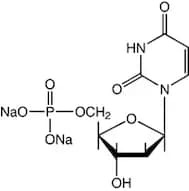 2'-Deoxyuridine-5'-monophosphate disodium salt, 99%