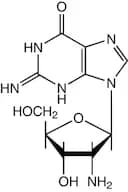 2'-Amino-2'-deoxyguanosine, 98%