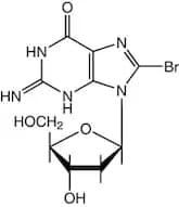 8-Bromo-2'-deoxyguanosine, 99%