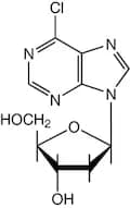 6-Chloropurine 2'-deoxyriboside, 97%