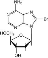 8-Bromo-2'-deoxyadenosine, 99%