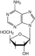 3'-Deoxyadenosine, 98%