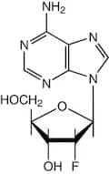 2'-Fluoro-2'-deoxyadenosine, 99%