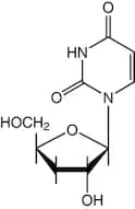 3'-Deoxyuridine