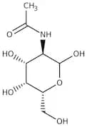 N-Acetyl-D-galactosamine