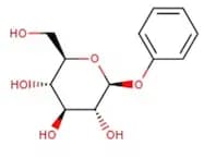 Phenyl β-D-glucopyranoside, 98%