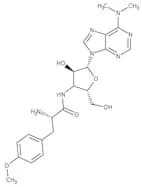 Puromycin dihydrochloride, 10 mg/ml in distilled water, sterile-filtered