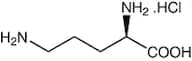 D-Ornithine hydrochloride, 98+%