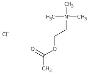 Acetylcholine chloride, 98+%
