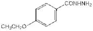 4-Ethoxybenzhydrazide, 98+%