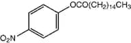 4-Nitrophenyl palmitate, 98+%