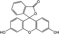 Fluorescein