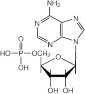 Adenosine-5'-monophosphoric acid, 99% (dry wt.), water <6%