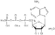 Adenosine-5'-triphosphate disodium salt hydrate, 99%, water &lt;10%