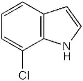 7-Chloroindole, 98%