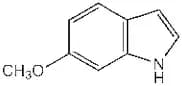 6-Methoxyindole, 98+%