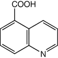 Quinoline-5-carboxylic acid, 97+%