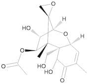 Fusarenon X 100 µg/mL in Acetonitrile