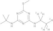 Terbutryn D5 (ethyl D5)