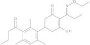 Butroxydim 10 µg/mL in Cyclohexane