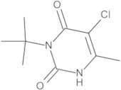 Terbacil 10 µg/mL in Isooctane