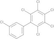 PCB No. 160 10 µg/mL in Isooctane