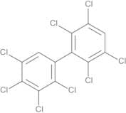 PCB No. 199 10 µg/mL in Isooctane