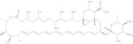 Amphotericin B