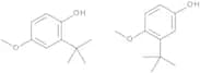 tert-Butyl-4-hydroxyanisole (mixture of 2- and 3-isomer)